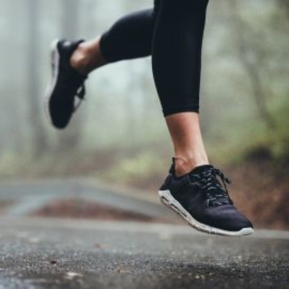 Meet your Posher, Oscar